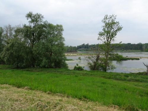 La Loire