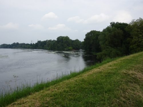 Confluent de la Loire et du Loiret