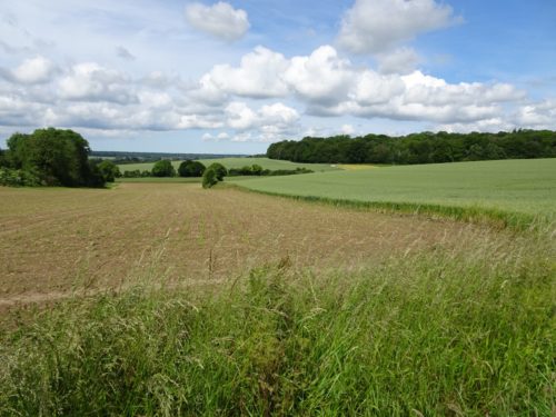 site de la bataille de Crécy