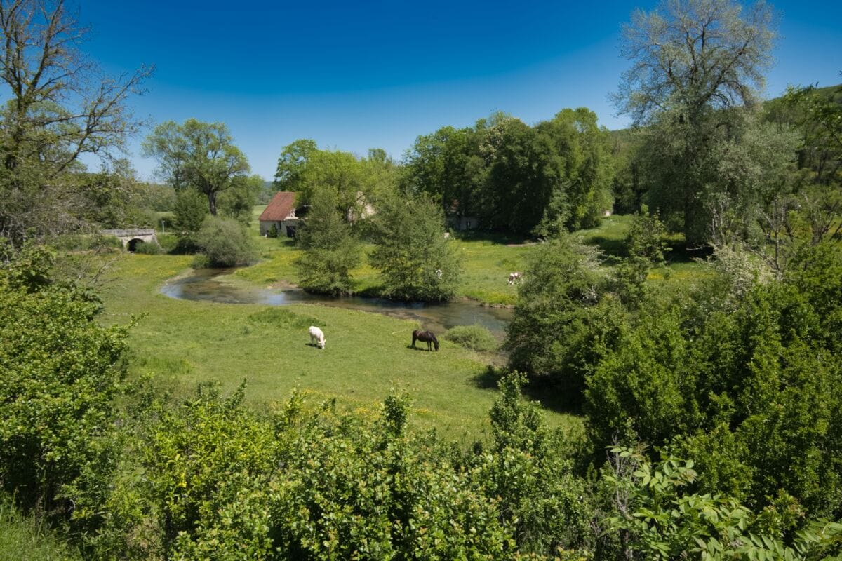 Une très belle étape champêtre et bucolique le long des jolies rivières que sont la Suize et l'Aube.
