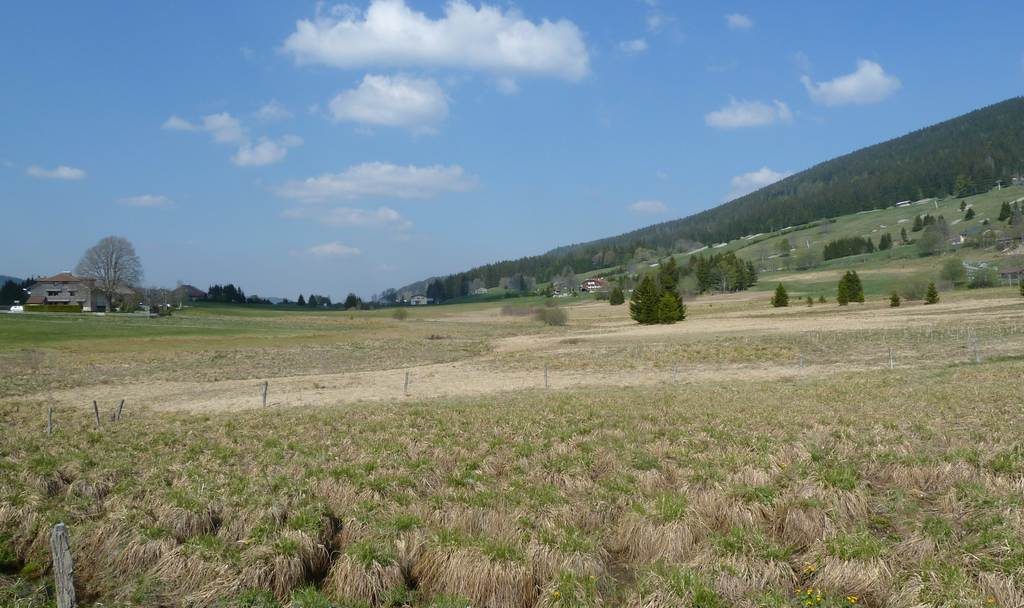 Paysage du Jura