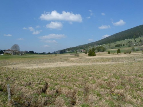 Paysage du Jura