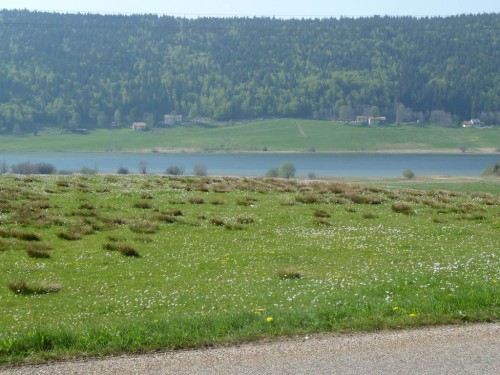 Le lac des Rousses